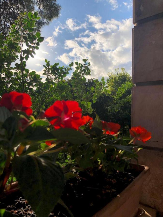 Sunone Dubrovnik Lägenhet Exteriör bild